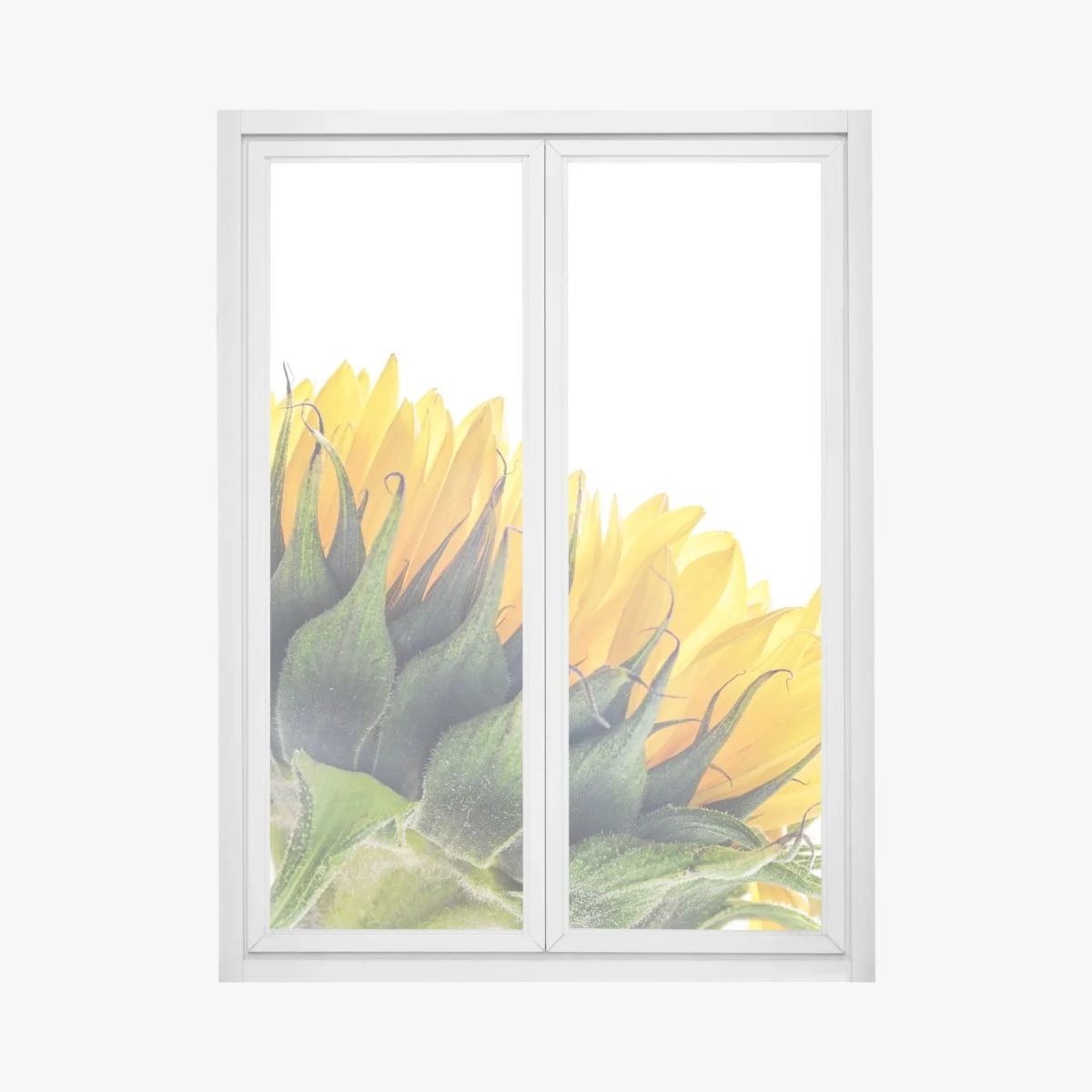 Sticker pour vitres et fenêtres gros plan lumineux de tournesol – Wallnifity® Sticker pour vitres et fenêtres gros plan lumineux de tournesol – Wallnifity®