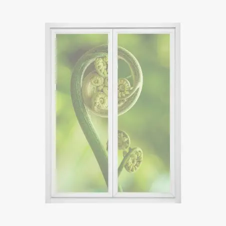 Sticker pour vitres et fenêtres spirale délicate de fougère – Wallnifity®