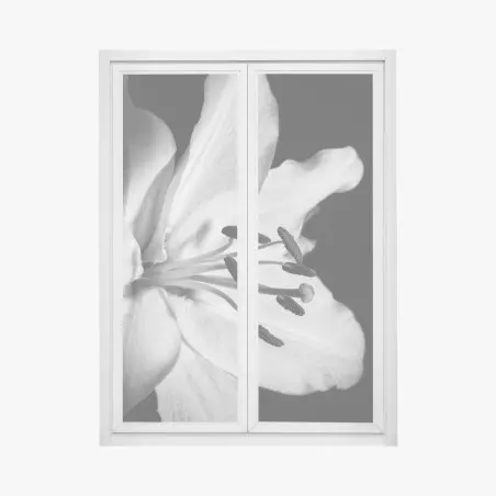Sticker pour vitres et fenêtres élégance florale en noir et blanc – Wallnifity®