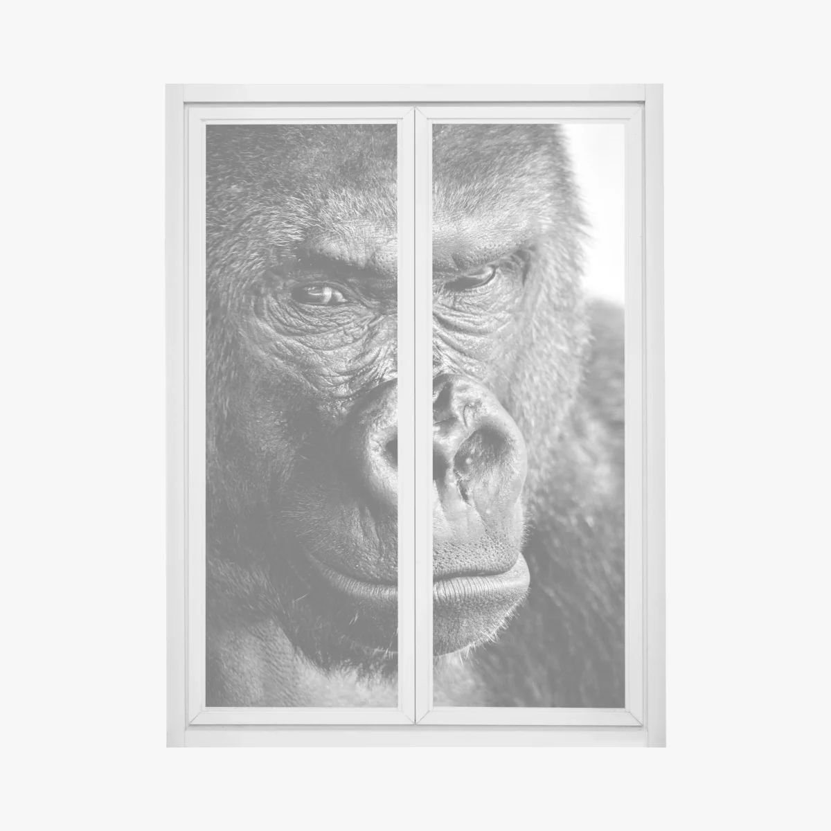 Sticker pour vitres et fenêtres portrait intense de gorille en noir et blanc – Wallnifity® Sticker pour vitres et fenêtres portrait intense de gorille en noir et blanc – Wallnifity®