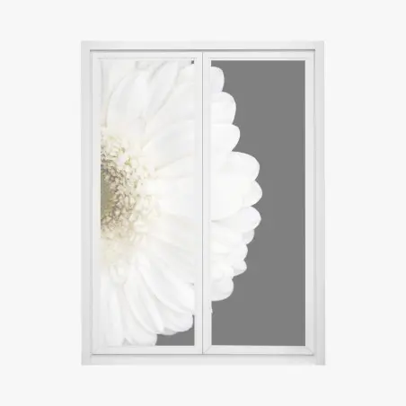 Sticker pour vitres et fenêtres gerbera blanche en gros plan sur fond noir – Wallnifity®