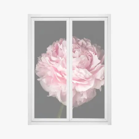 Sticker pour vitres et fenêtres pivoine rose en gros plan — élégance florale intemporelle – Wallnifity®