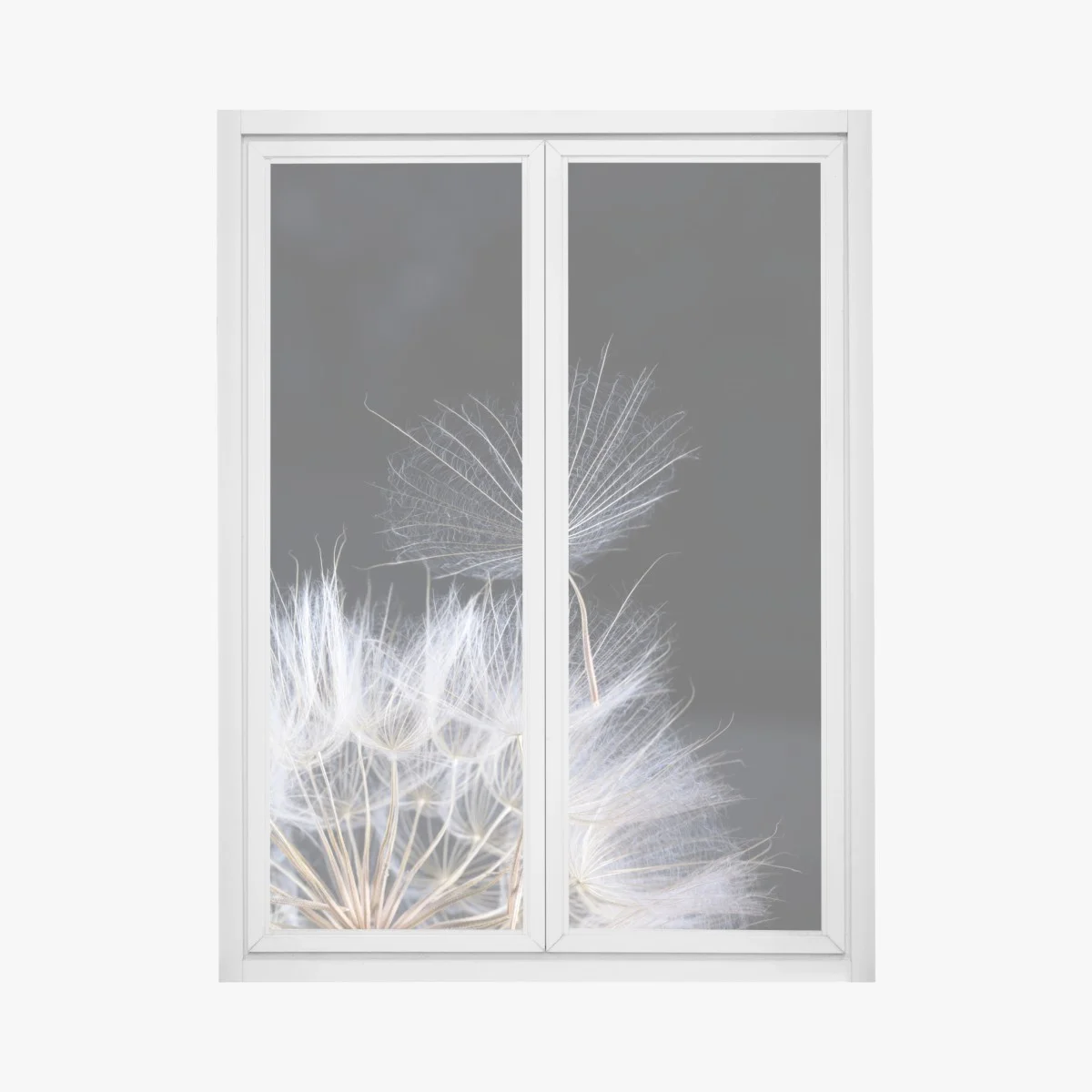 Sticker pour vitres et fenêtres élégance d'un pissenlit sur fond noir – Wallnifity® Sticker pour vitres et fenêtres élégance d'un pissenlit sur fond noir – Wallnifity®