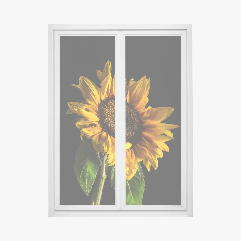 Stickers pour vitres et fenêtres – Wallnifity®