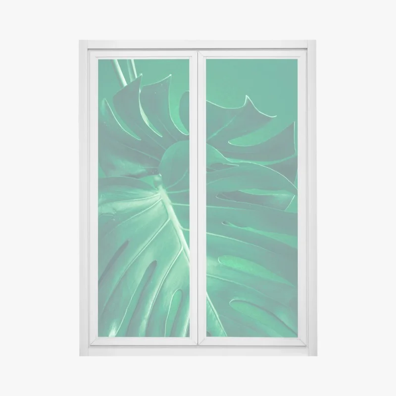 Stickers pour vitres et fenêtres – Wallnifity®