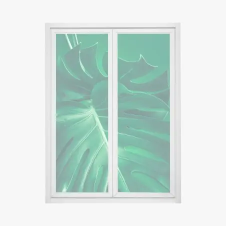Sticker pour vitres et fenêtres feuille de monstera verte en gros plan – Wallnifity®
