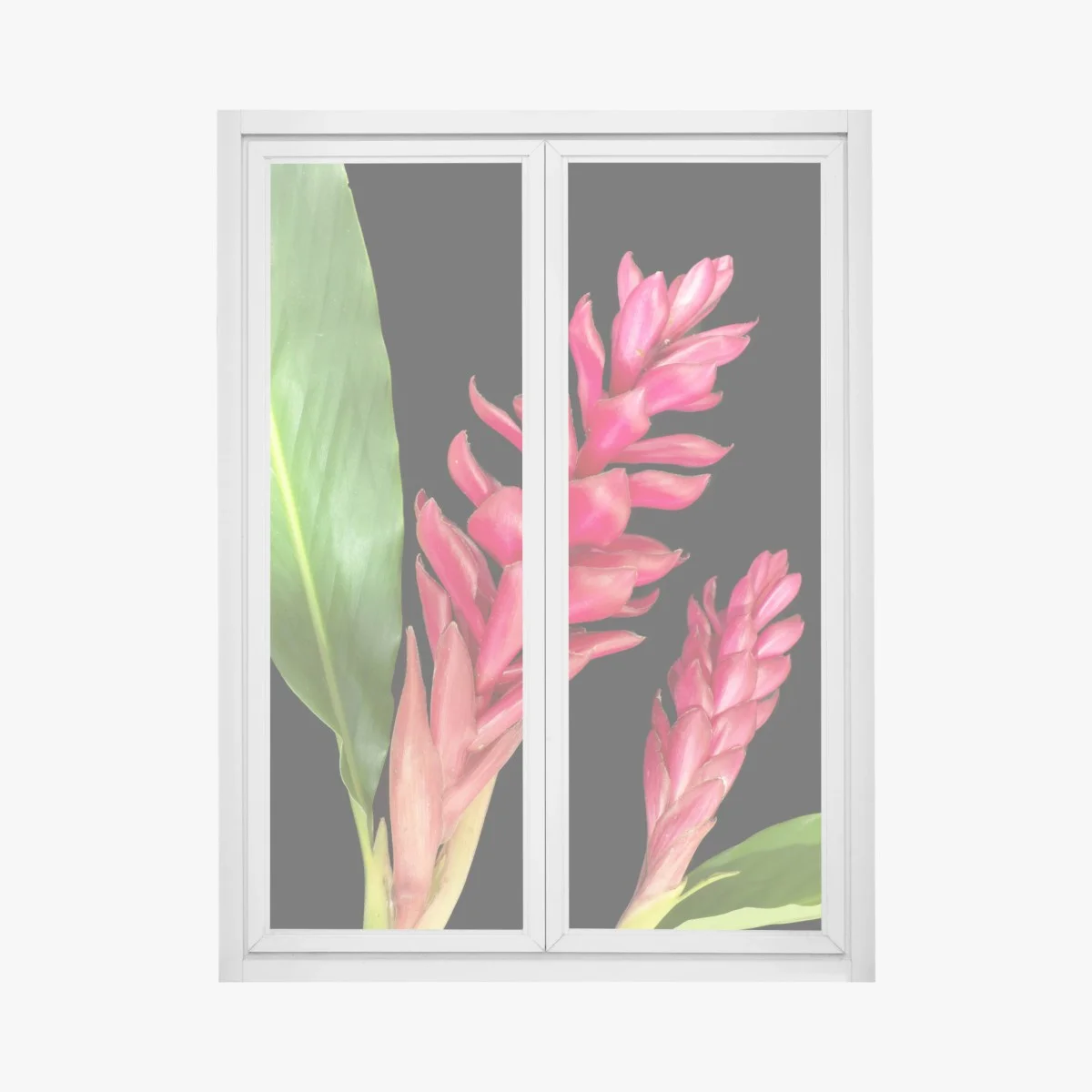 Sticker pour vitres et fenêtres éclat tropical gingembre torchère rouge sur fond noir – Wallnifity® Sticker pour vitres et fenêtres éclat tropical gingembre torchère rouge sur fond noir – Wallnifity®