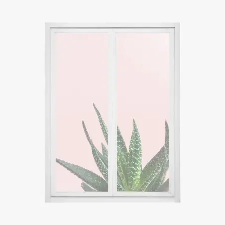 Sticker pour vitres et fenêtres aloe minimaliste sur fond rose – Wallnifity®