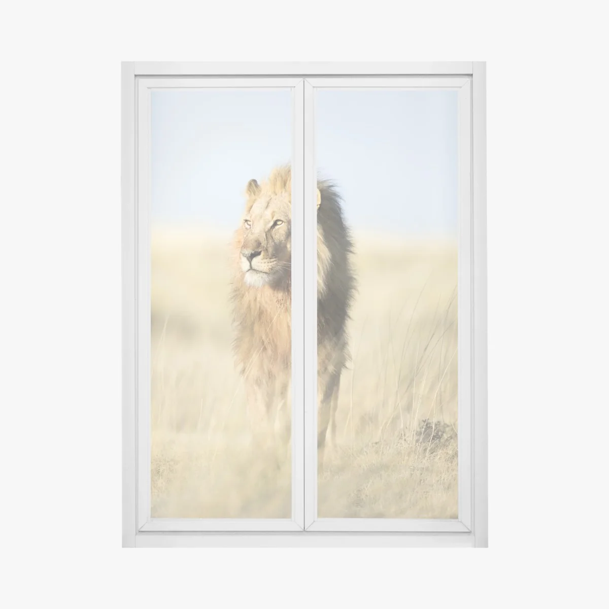 Sticker pour vitres et fenêtres lion majestueux dans la savane – Wallnifity® Sticker pour vitres et fenêtres lion majestueux dans la savane – Wallnifity®