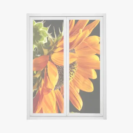 Sticker pour vitres et fenêtres gros plan de tournesol orange – Wallnifity®