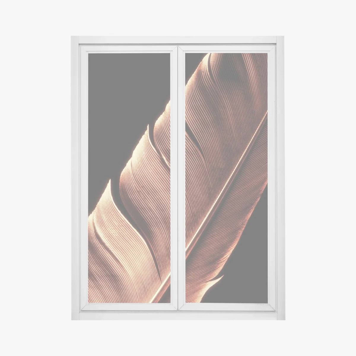 Sticker pour vitres et fenêtres plume délicate en contre-jour – Wallnifity® Sticker pour vitres et fenêtres plume délicate en contre-jour – Wallnifity®