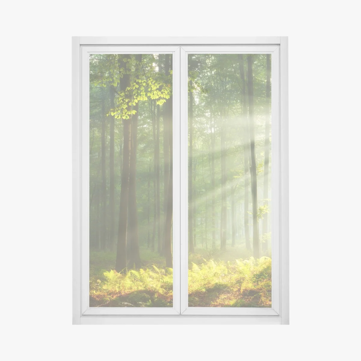 Sticker pour vitres et fenêtres matin d'automne en forêt ancienne – Wallnifity® Sticker pour vitres et fenêtres matin d'automne en forêt ancienne – Wallnifity®