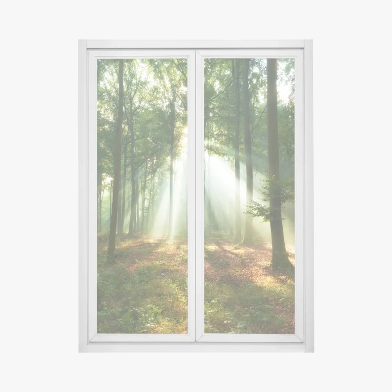 Stickers pour vitres et fenêtres – Wallnifity®