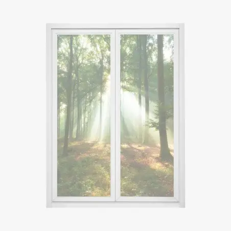 Sticker pour vitres et fenêtres lumière matinale dans la forêt – Wallnifity®