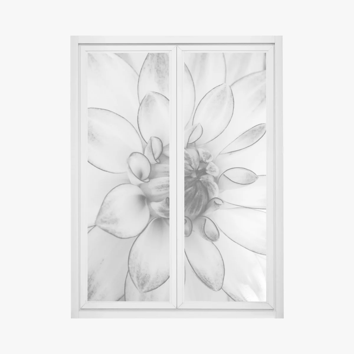 Sticker pour vitres et fenêtres éclosion florale en noir et blanc – Wallnifity® Sticker pour vitres et fenêtres éclosion florale en noir et blanc – Wallnifity®