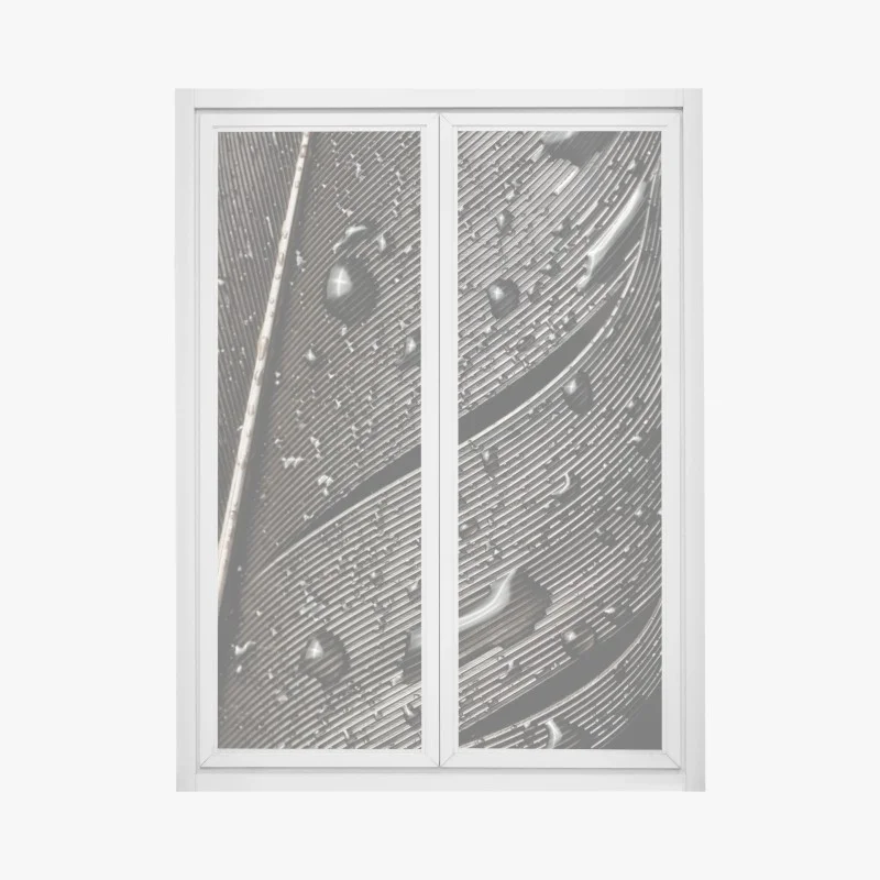 Stickers pour vitres et fenêtres – Wallnifity®