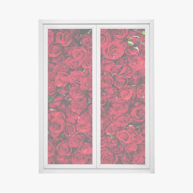 Stickers pour vitres et fenêtres – Wallnifity®
