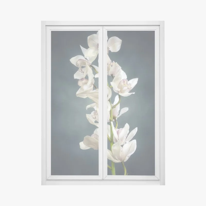 Scandinave – Wallnifity®