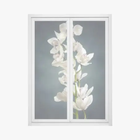 Sticker pour vitres et fenêtres orchidée blanche élégante sur fond sombre – Wallnifity®