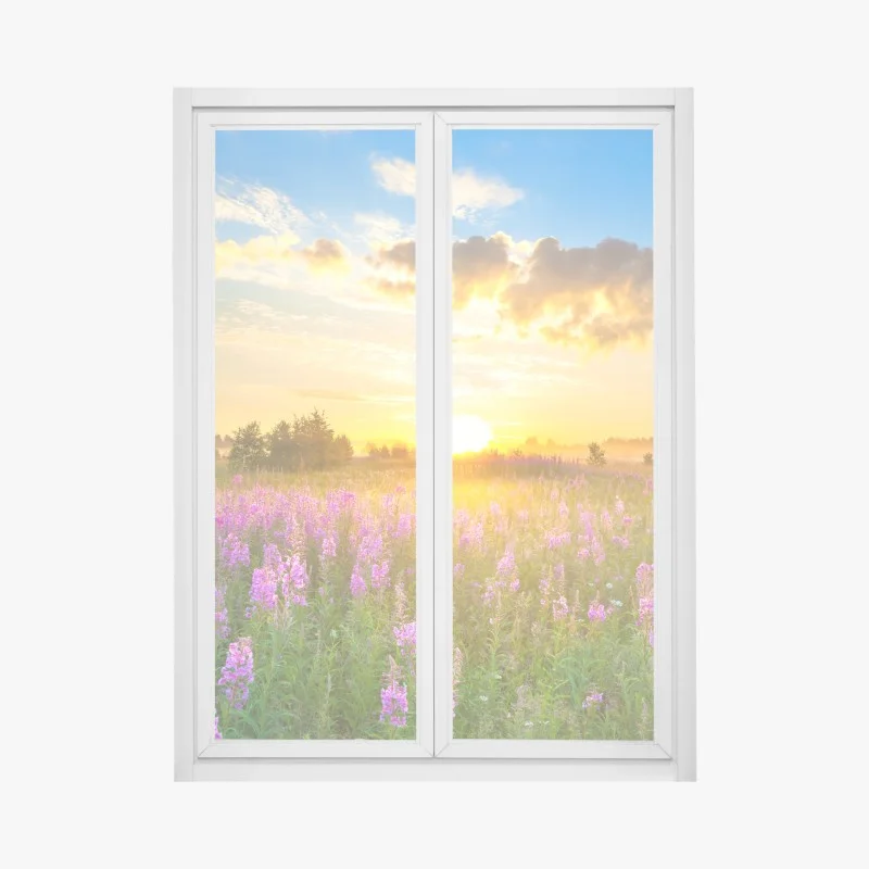 Stickers pour vitres et fenêtres – Wallnifity®