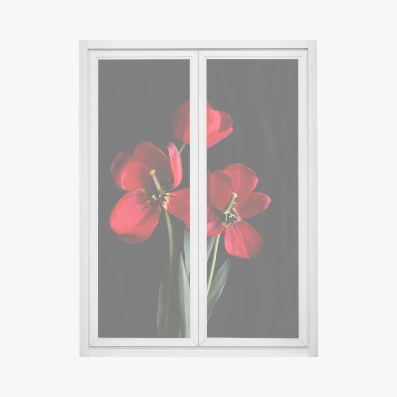Minimaliste – Wallnifity®