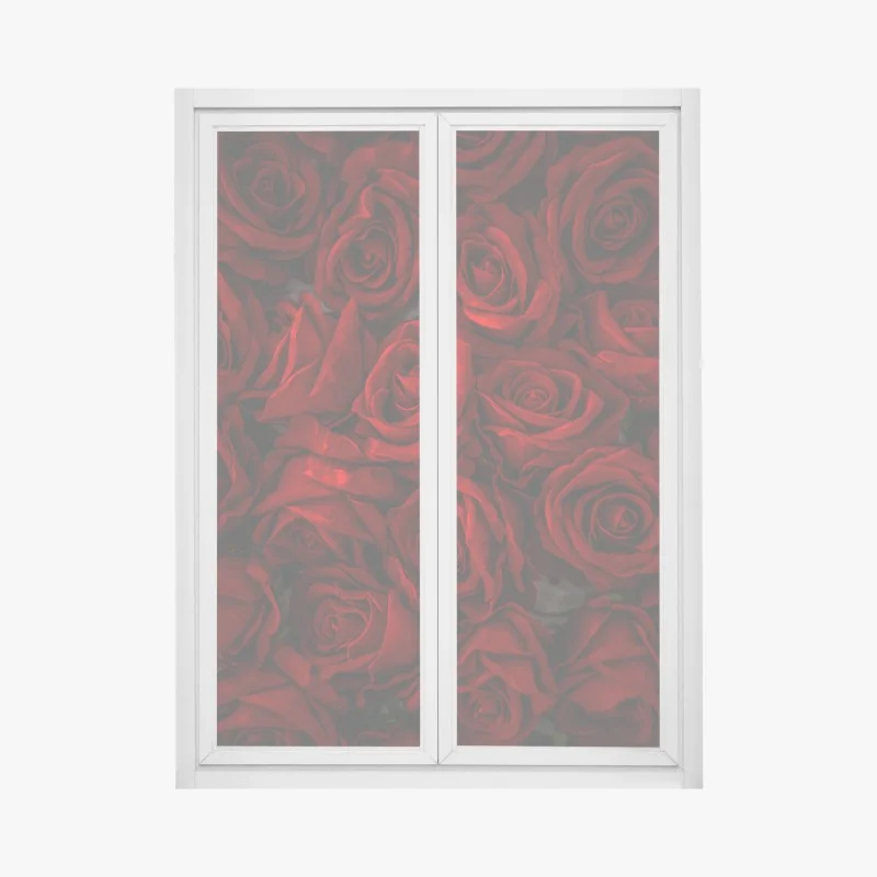 Stickers pour vitres et fenêtres – Wallnifity®