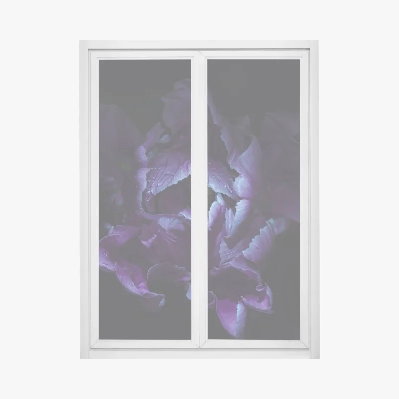 Moderne – Wallnifity®