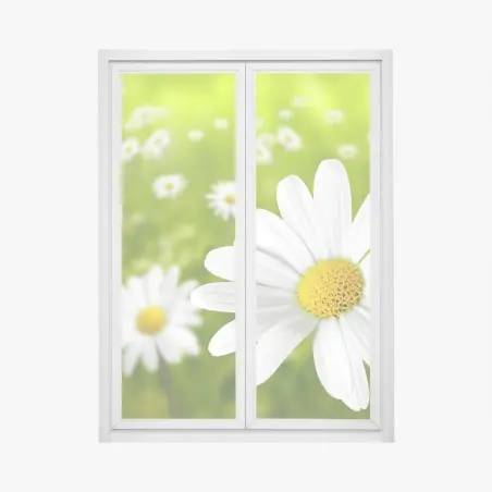 Sticker pour vitres et fenêtres champ de marguerites ensoleillé – Wallnifity®