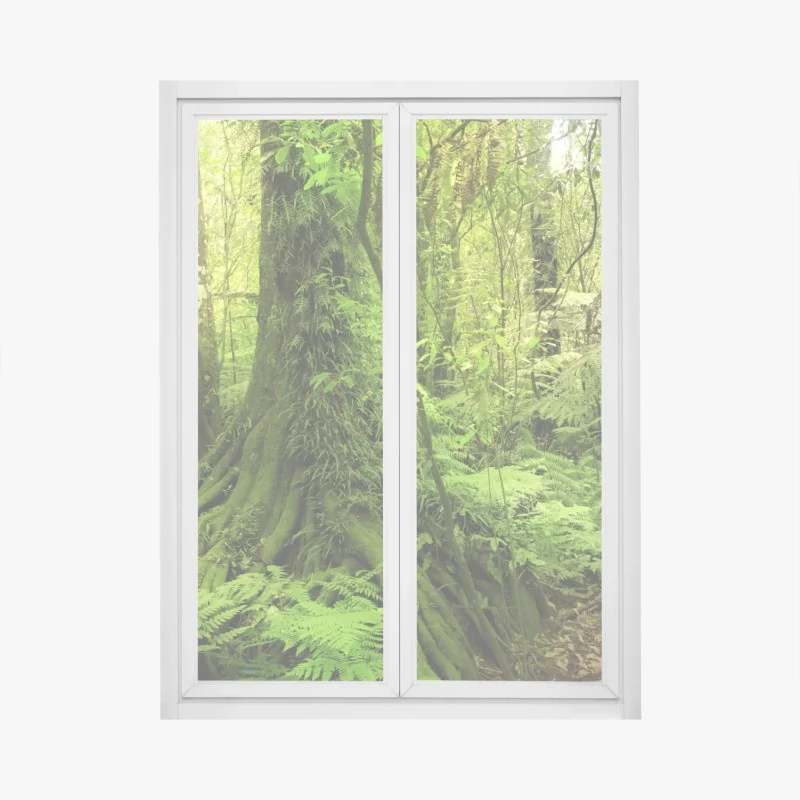Stickers pour vitres et fenêtres – Wallnifity®