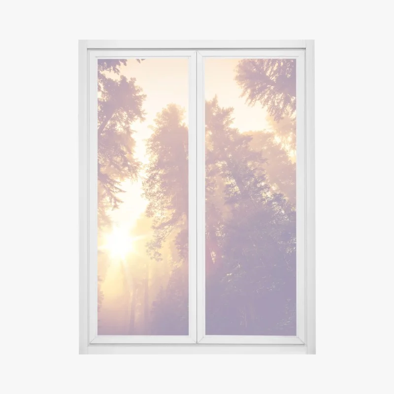 Stickers pour vitres et fenêtres – Wallnifity®