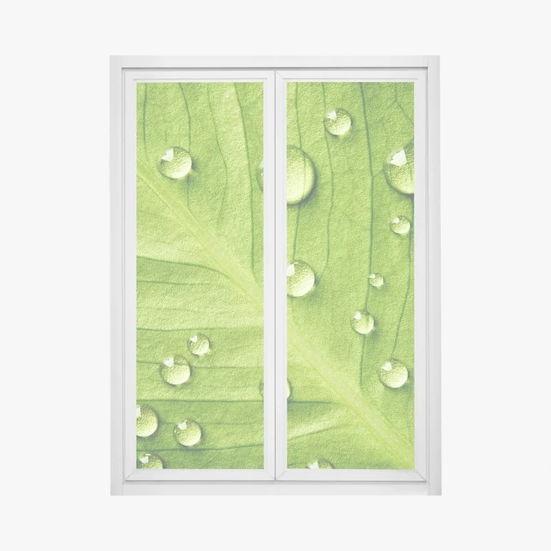 Stickers pour vitres et fenêtres – Wallnifity®