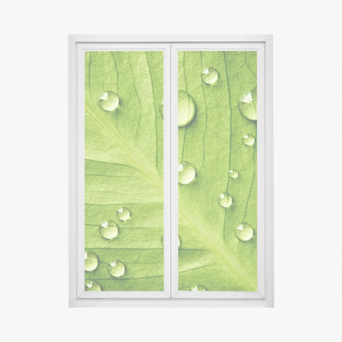 Sticker pour vitres et fenêtres gouttes sur feuille verte en gros plan – Wallnifity® Sticker pour vitres et fenêtres gouttes sur feuille verte en gros plan – Wallnifity®