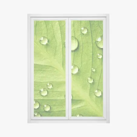 Sticker pour vitres et fenêtres gouttes sur feuille verte en gros plan – Wallnifity®