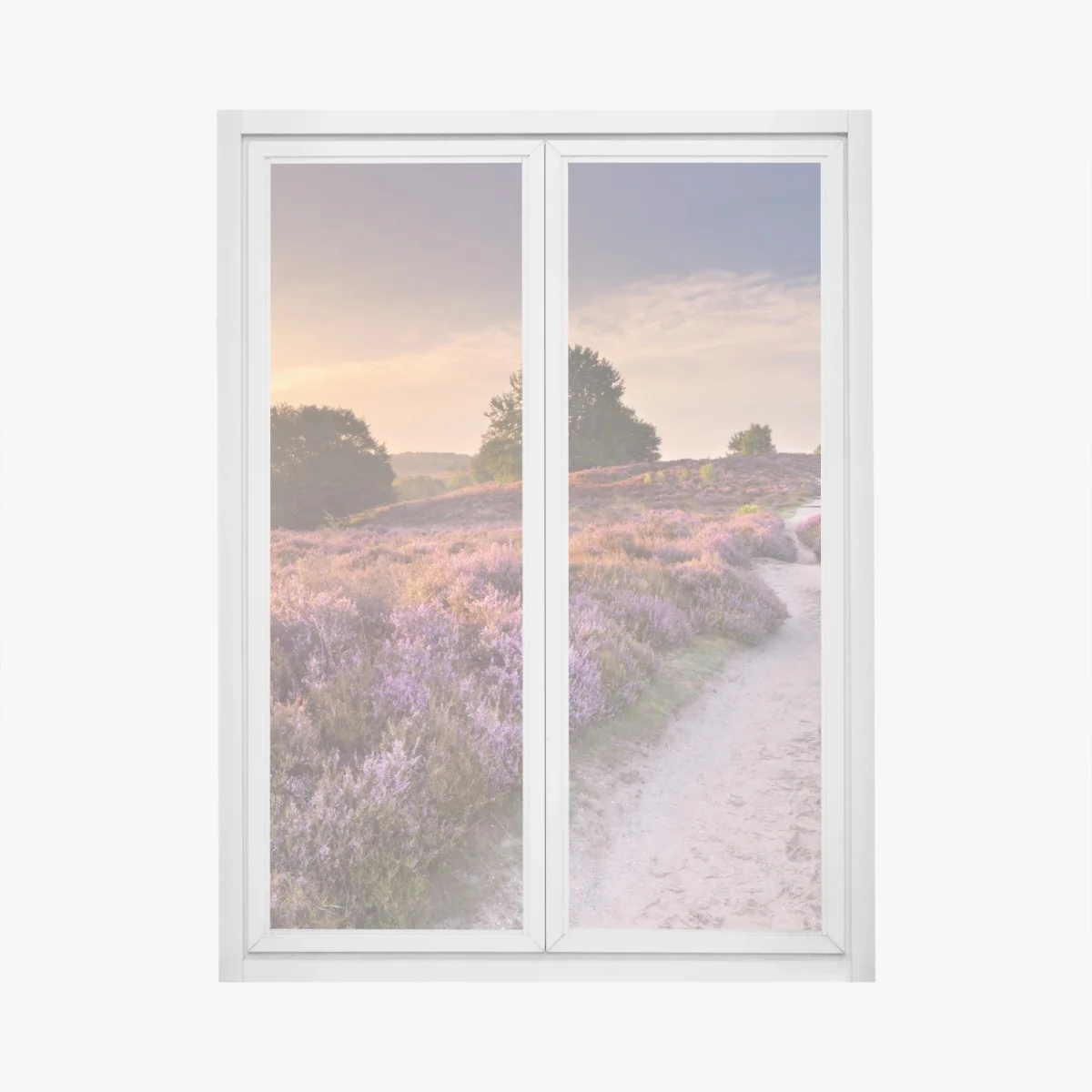 Sticker pour vitres et fenêtres sentier entre les bruyères du Posbank au lever du soleil – Wallnifity® Sticker pour vitres et fenêtres sentier entre les bruyères du Posbank au lever du soleil – Wallnifity®
