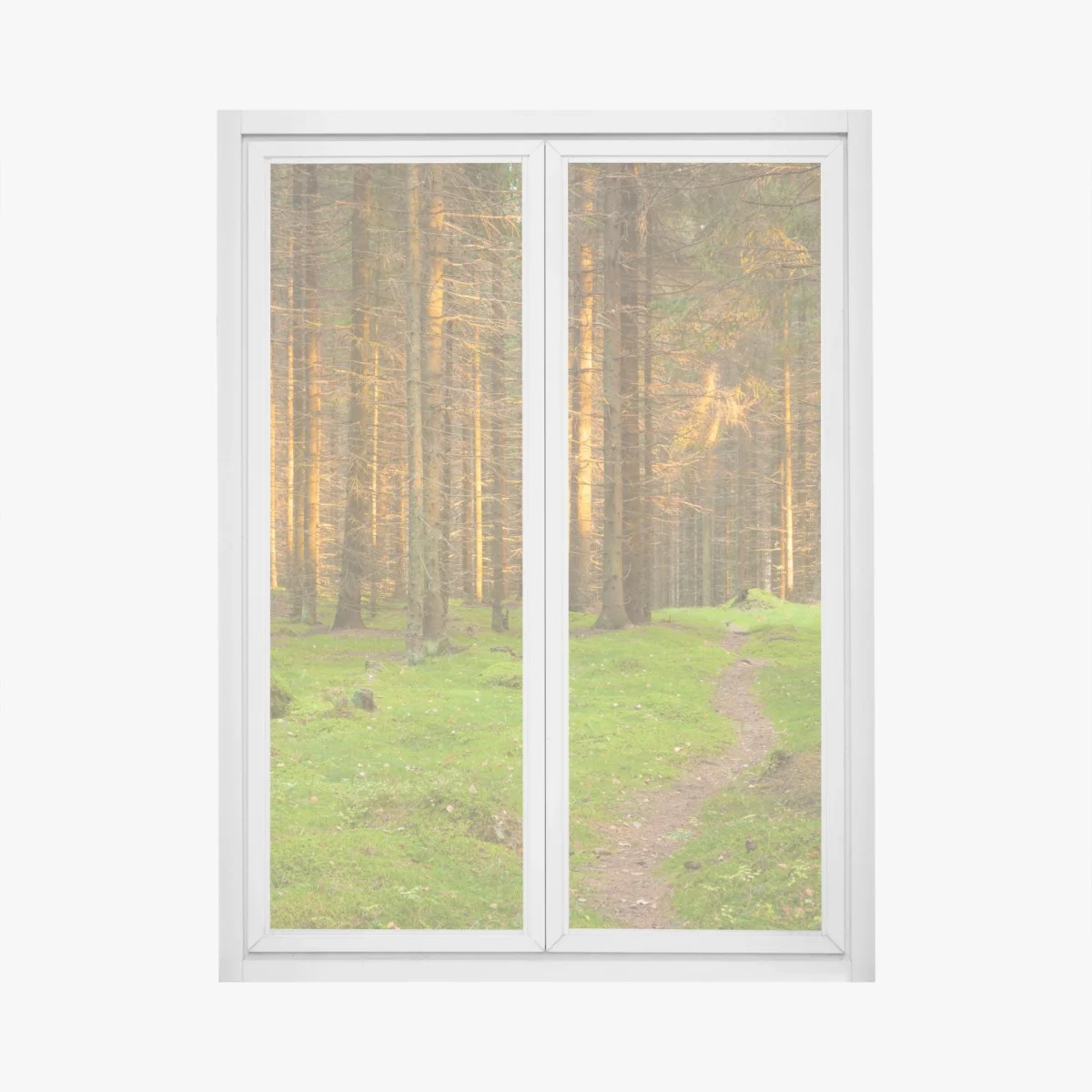 Sticker pour vitres et fenêtres lumière dorée dans la forêt de sapins – Wallnifity® Sticker pour vitres et fenêtres lumière dorée dans la forêt de sapins – Wallnifity®