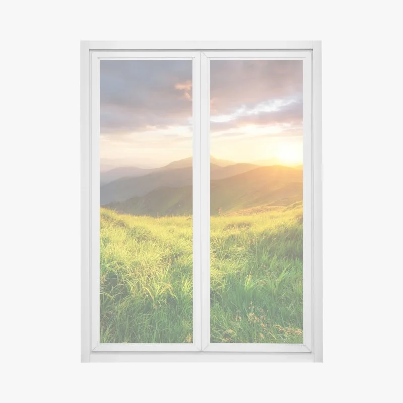 Stickers pour vitres et fenêtres – Wallnifity®