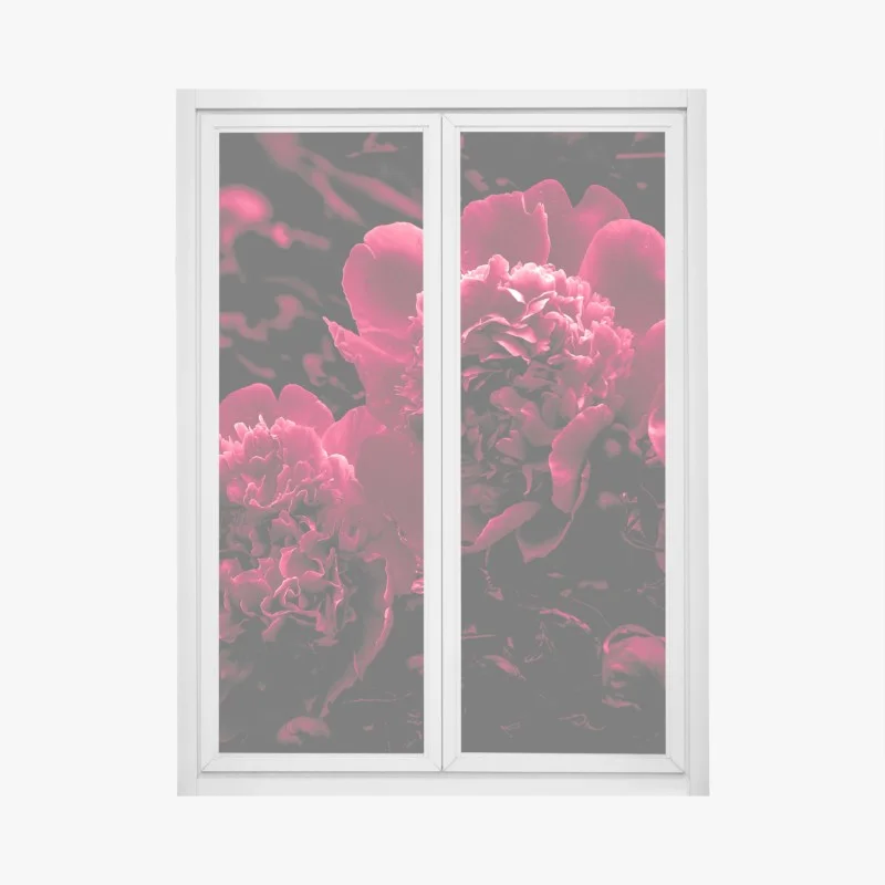 Sticker pour vitres et fenêtres pivoines rouge profond sur fond noir – Wallnifity®