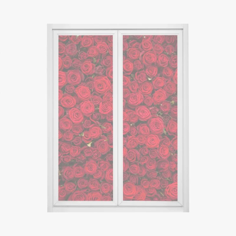 Sticker pour vitres et fenêtres mur de roses rouges intenses – Wallnifity® Sticker pour vitres et fenêtres mur de roses rouges intenses – Wallnifity®