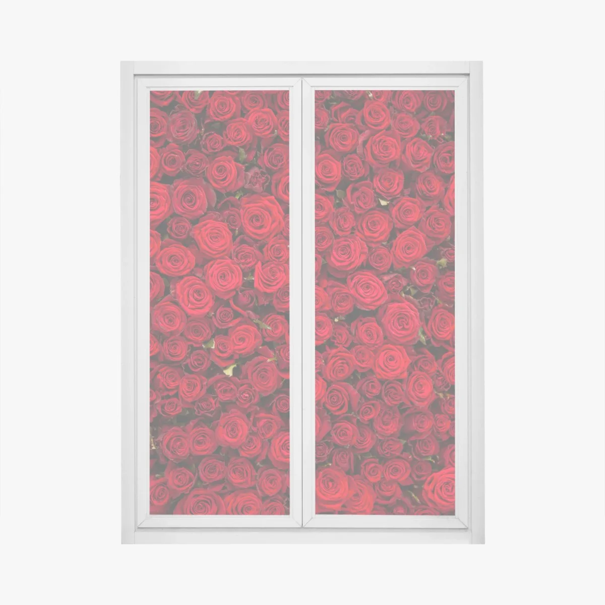 Sticker pour vitres et fenêtres mur de roses rouges intenses – Wallnifity® Sticker pour vitres et fenêtres mur de roses rouges intenses – Wallnifity®