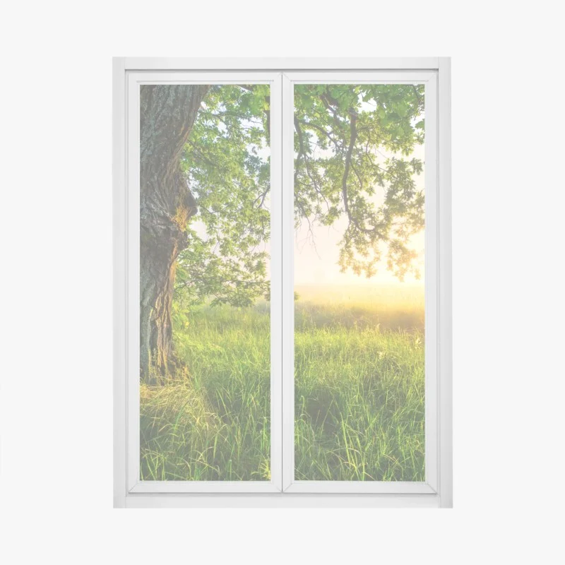 Stickers pour vitres et fenêtres – Wallnifity®