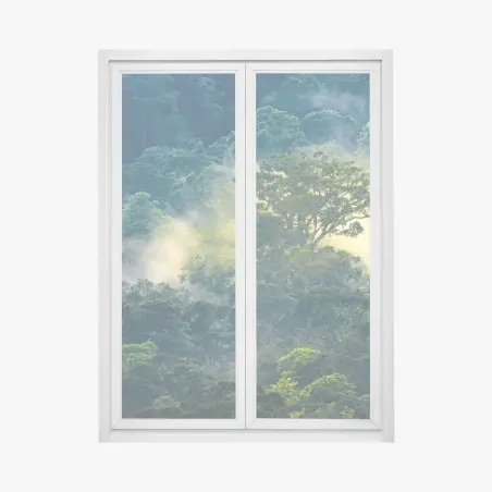 Sticker pour vitres et fenêtres canopée tropicale embrumée baignée de lumière – Wallnifity®