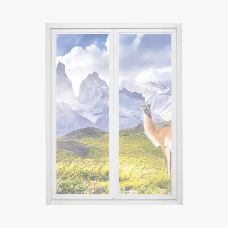 Autocollants – Wallnifity®
