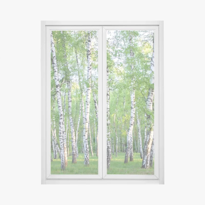Stickers pour vitres et fenêtres – Wallnifity®
