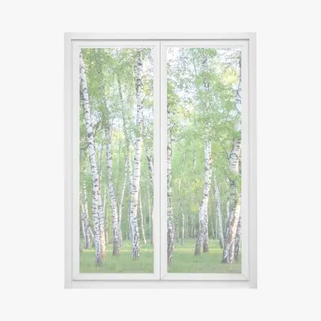 Sticker pour vitres et fenêtres forêt de bouleaux en été – Wallnifity®