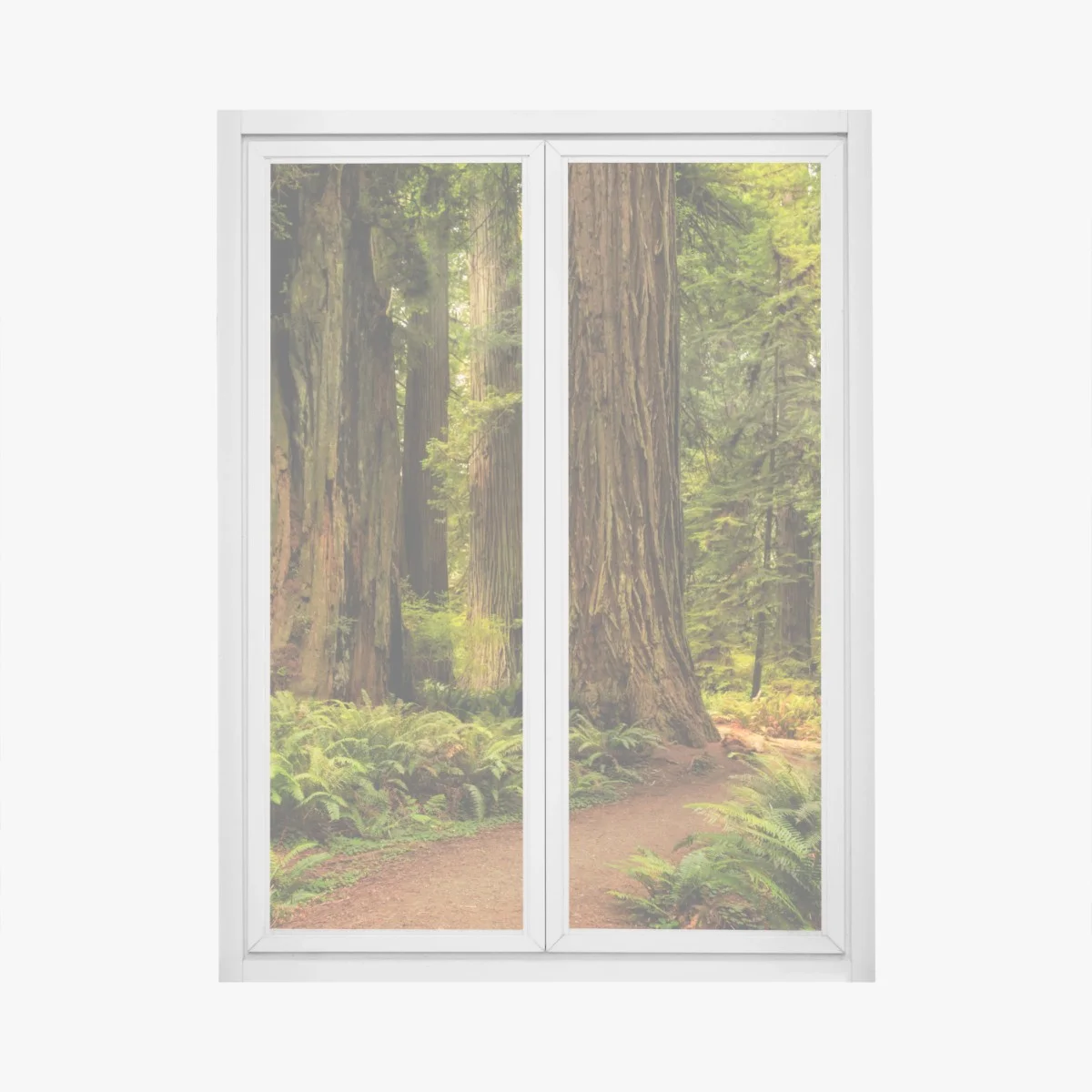 Sticker pour vitres et fenêtres promenade sous les séquoias de Californie – Wallnifity® Sticker pour vitres et fenêtres promenade sous les séquoias de Californie – Wallnifity®