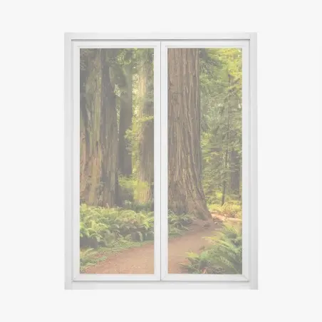 Sticker pour vitres et fenêtres promenade sous les séquoias de Californie – Wallnifity®
