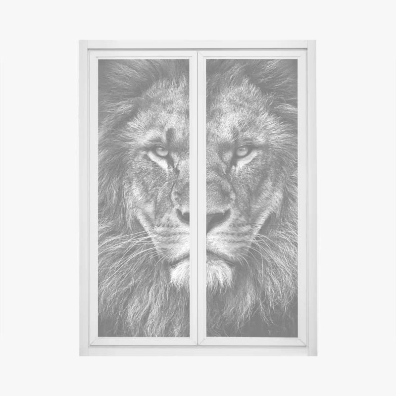 Stickers pour vitres et fenêtres – Wallnifity®