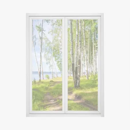 Sticker pour vitres et fenêtres clairière de bouleaux au bord du lac – Wallnifity®