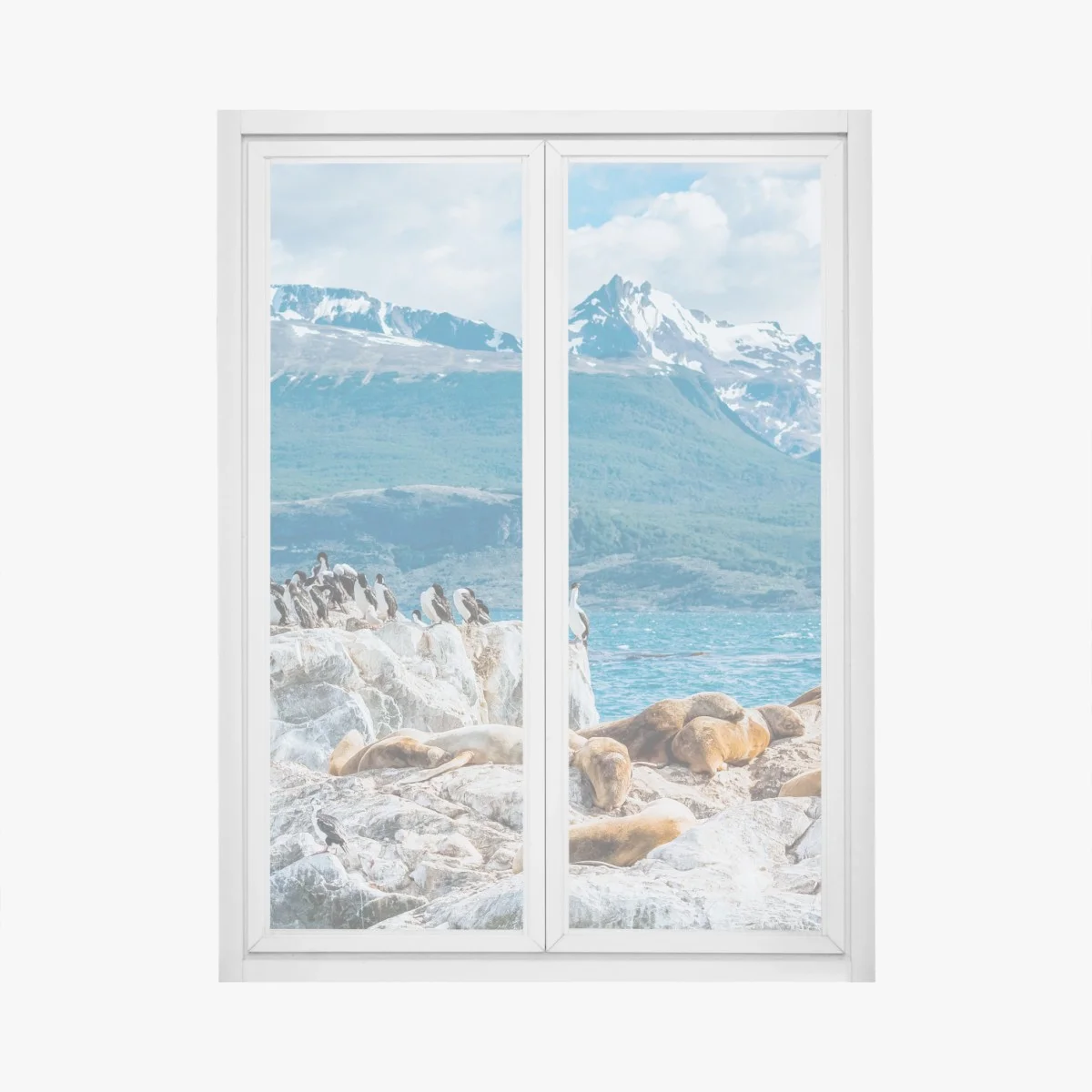 Sticker pour vitres et fenêtres colonie d'otaries et d'oiseaux marins au pied des montagnes – Wallnifity® Sticker pour vitres et fenêtres colonie d'otaries et d'oiseaux marins au pied des montagnes – Wallnifity®