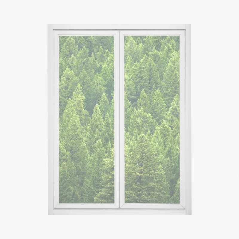 Autocollants – Wallnifity®